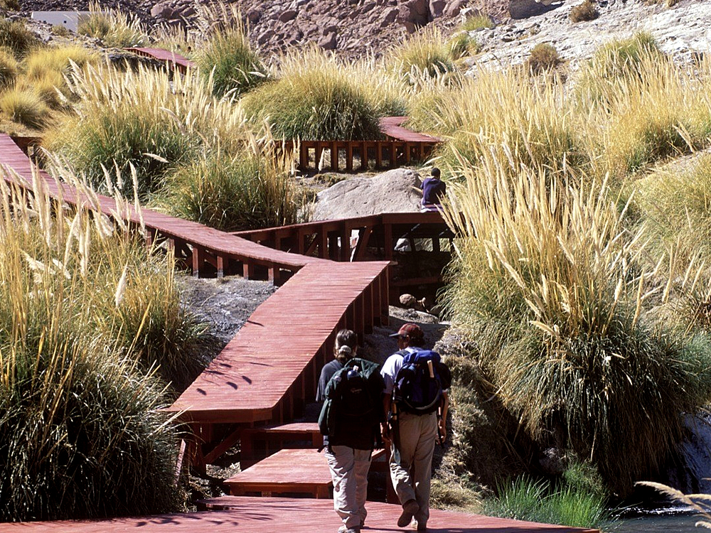 Termas de Puritama