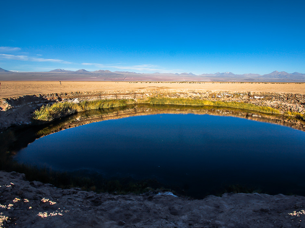 Laguna  cejar  - Tebenquinche